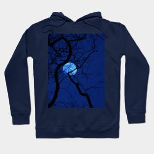 Bare Tree Branches and Full Moon Hoodie